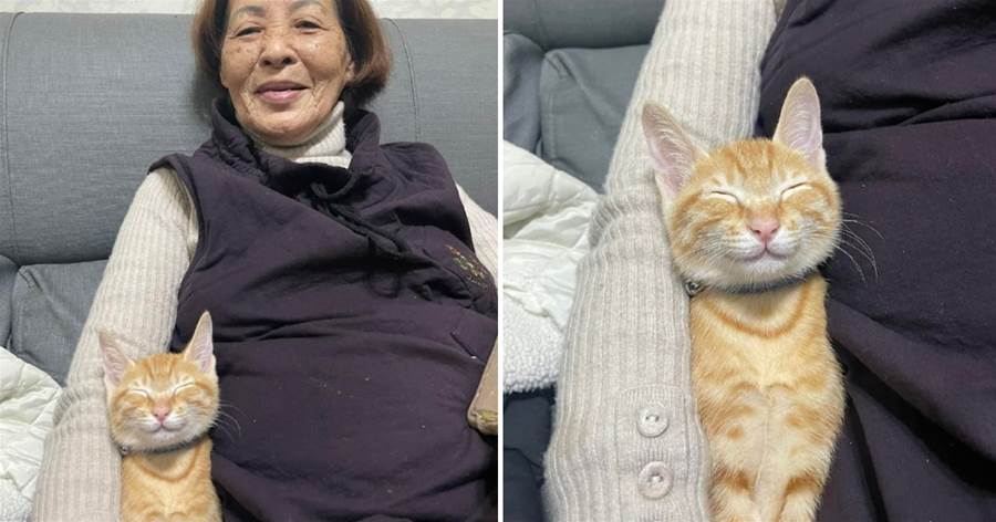 奶奶把貓咪摟在懷裡，它的笑容也太治癒了，是有多喜歡奶奶啊