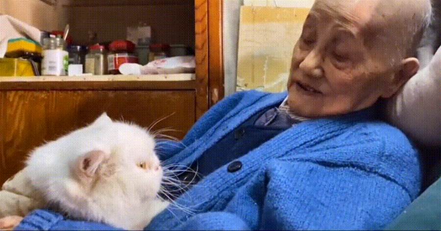 淚奔！91歲奶奶與8歲貓咪告別：「等我走了，你要聽姑姑的話！」愿奶奶和貓咪健康長壽！