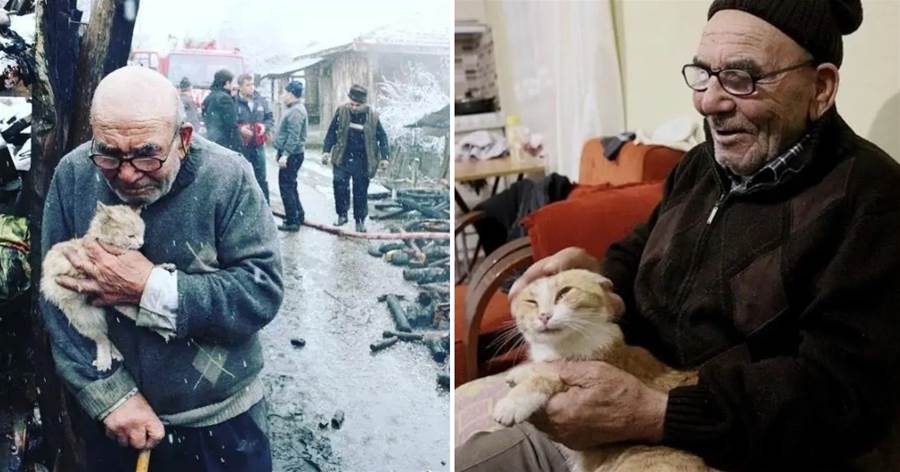 催淚！土耳其83歲老人房屋失火，抱著愛貓風雪中哭，驚動總統
